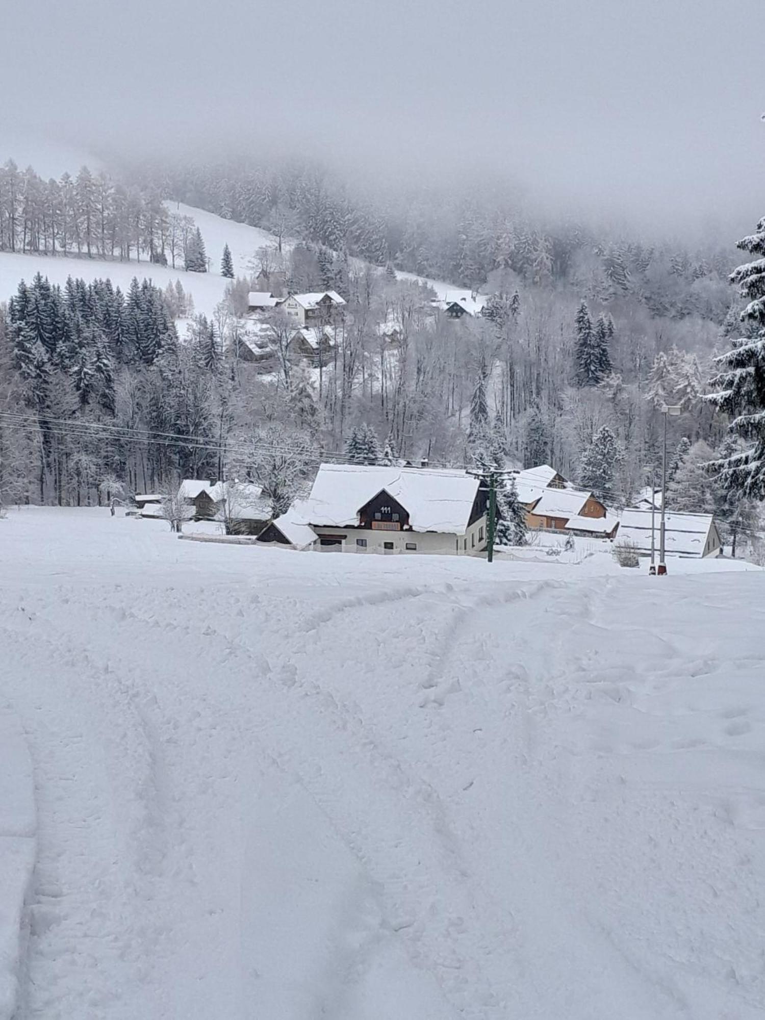 Family 2 Bedroom Ski&Bike Apartment With Terrase ยันสแก ลาสเนีย ภายนอก รูปภาพ